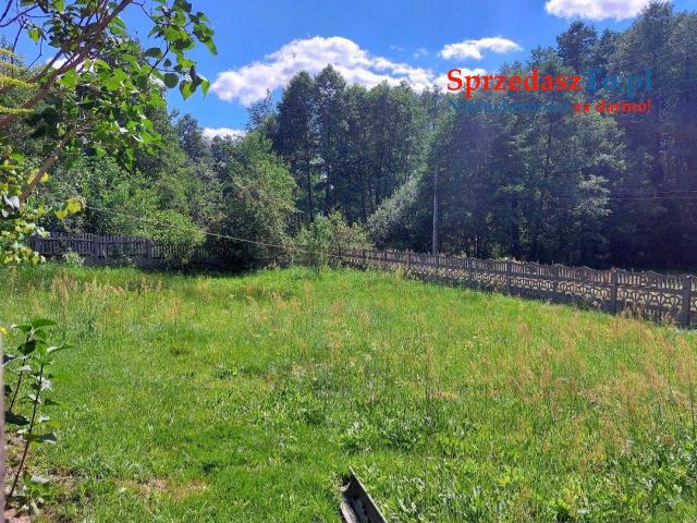 Sprzedam siedlisko z dostępem do rzeczki oraz własnym lasem - 7