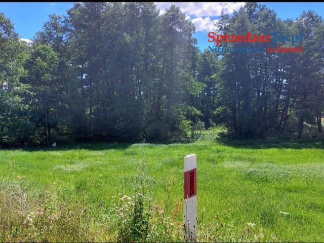 Sprzedam siedlisko z dostępem do rzeczki oraz własnym lasem - 10
