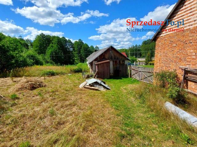 Sprzedam siedlisko z dostępem do rzeczki oraz własnym lasem - 11