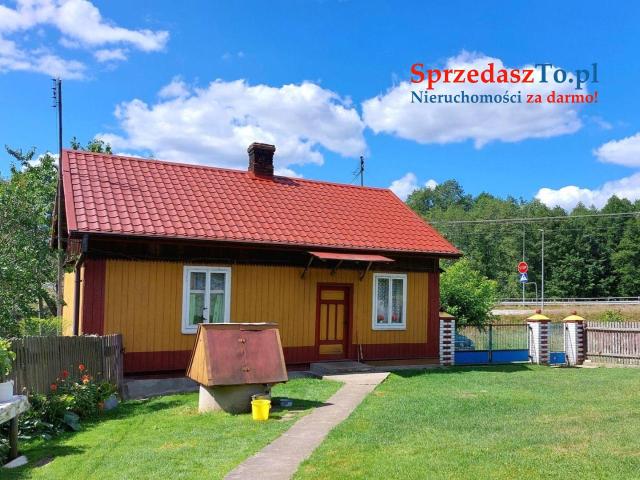 Sprzedam siedlisko z dostępem do rzeczki oraz własnym lasem - 12