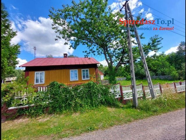 Sprzedam siedlisko z dostępem do rzeczki oraz własnym lasem - 14