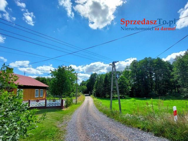 Sprzedam siedlisko z dostępem do rzeczki oraz własnym lasem - 15