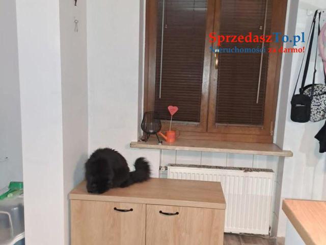 Sprzedam mieszkanie 2 pokojowe - 9