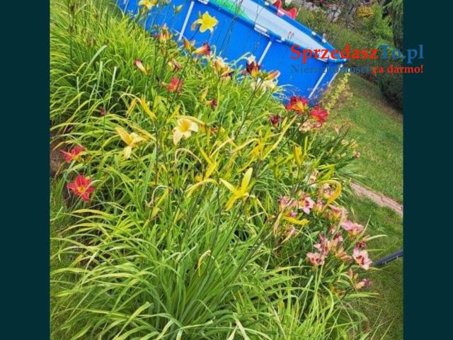 Zadbana Działka w Nieklonicach - 6