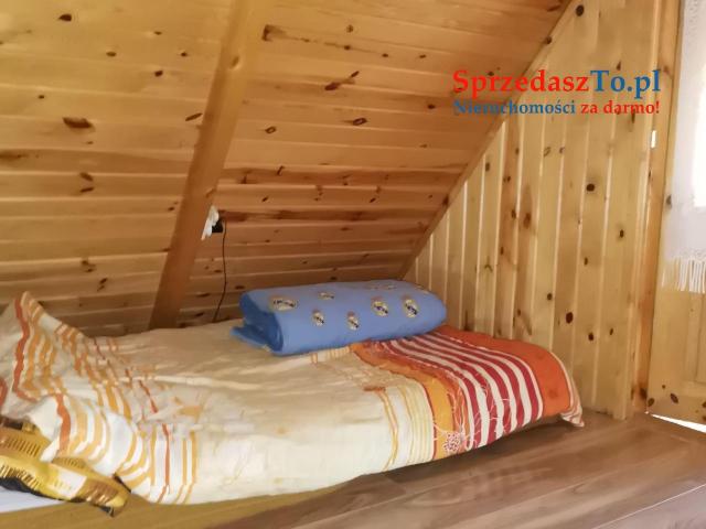 Sprzedam działkę ROD w Wudzyniu - 9