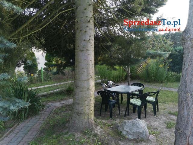 Sprzedam działkę ROD w Wudzyniu - 12