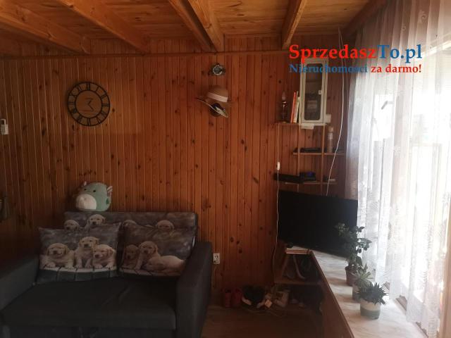 Sprzedam działkę ROD w Wudzyniu - 13