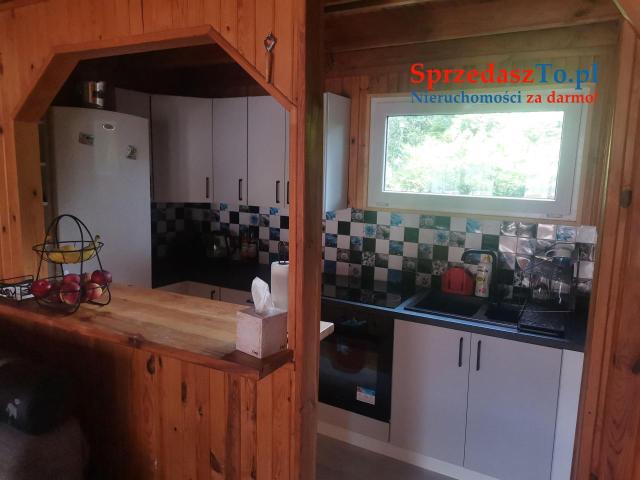 Sprzedam działkę ROD w Wudzyniu - 16