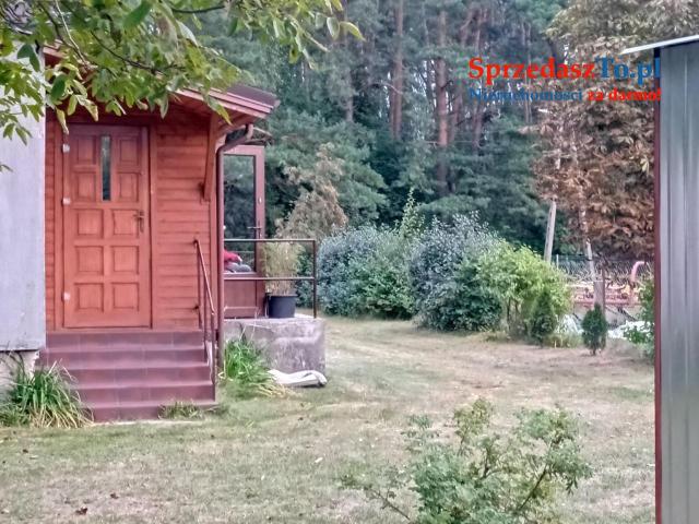 Sprzedam bezpośrednio siedlisko z budynkami gospodarczymi oraz piękna działka
