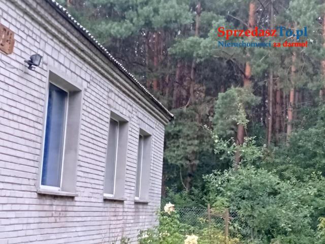 Sprzedam bezpośrednio siedlisko z budynkami gospodarczymi oraz piękna działka - 7