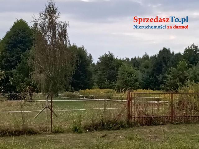 Sprzedam bezpośrednio siedlisko z budynkami gospodarczymi oraz piękna działka - 8