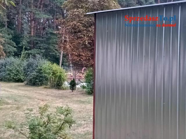 Sprzedam bezpośrednio siedlisko z budynkami gospodarczymi oraz piękna działka - 9