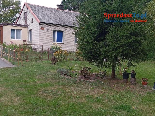 Sprzedam bezpośrednio siedlisko z budynkami gospodarczymi oraz piękna działka - 12