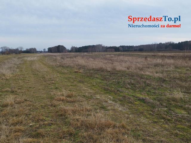 Działka rolna - 6