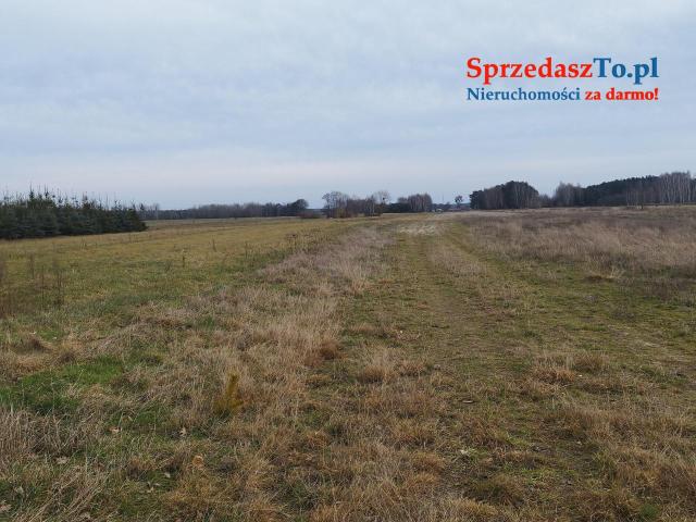 Działka rolna - 7