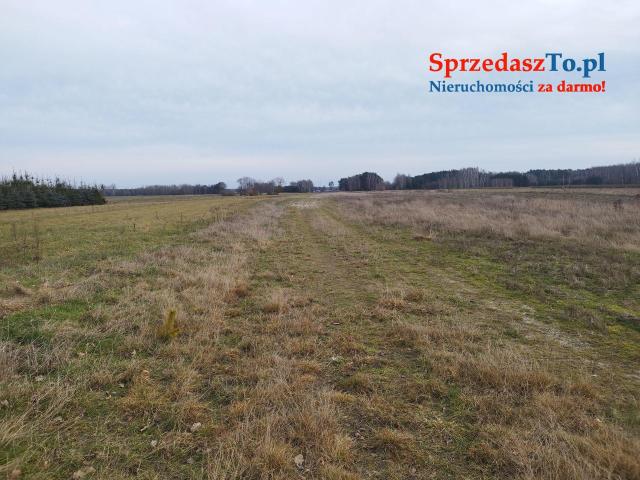 Działka rolna - 8