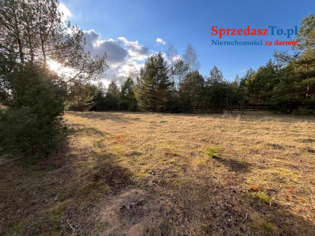 sprzedam działki rekreacyjne z dojsciem do rzeki - 6