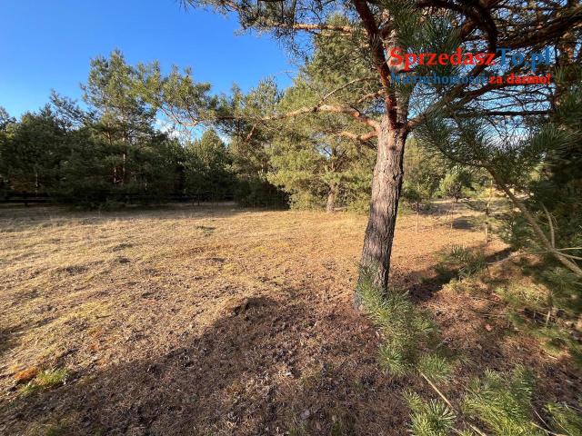 sprzedam działki rekreacyjne z dojsciem do rzeki - 7