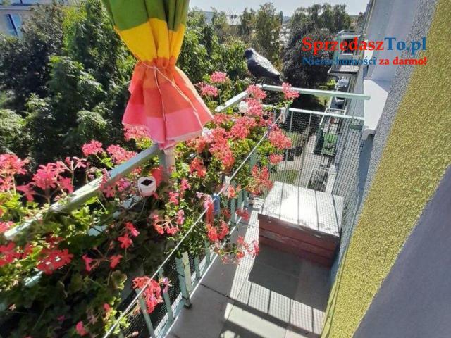 2-Pokojowe mieszkenie/Zazamcze - 14