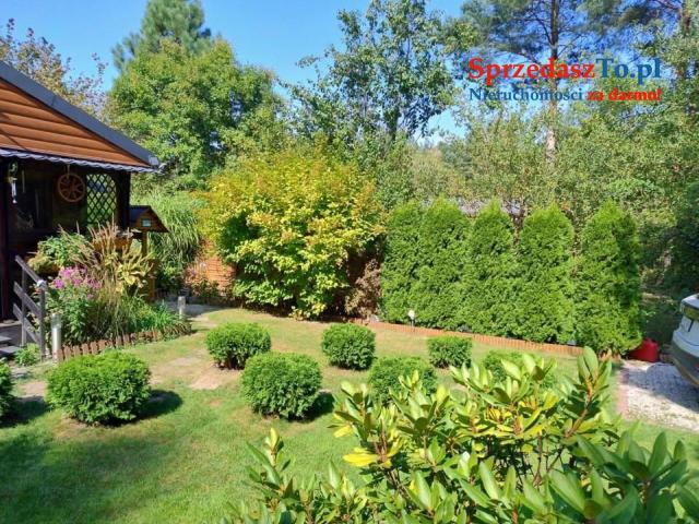 Sprzedam działkę ROD - 15