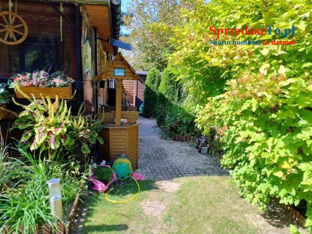 Sprzedam działkę ROD - 17