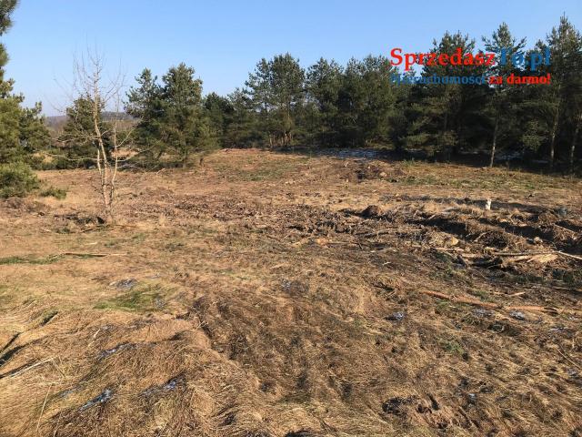 Działka uzbrojona nad jeziorem GŁĘBOKIE - Świeszyno k. Miastka - 6