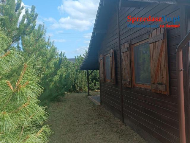 Sprzedam domek letniskowy nad jeziorem Powidzkim - 6