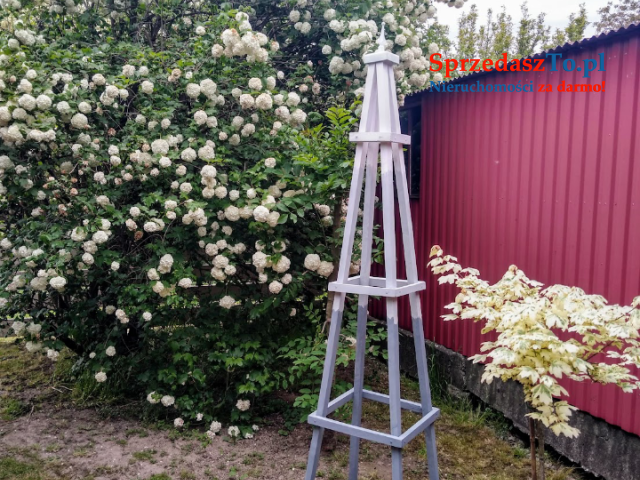 Ogródek działkowy - 7