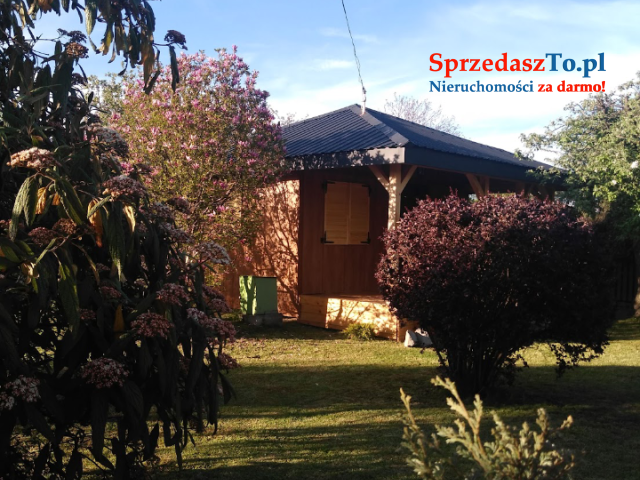 Ogródek działkowy - 10