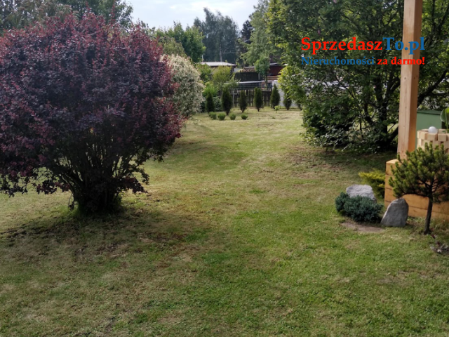 Ogródek działkowy - 11