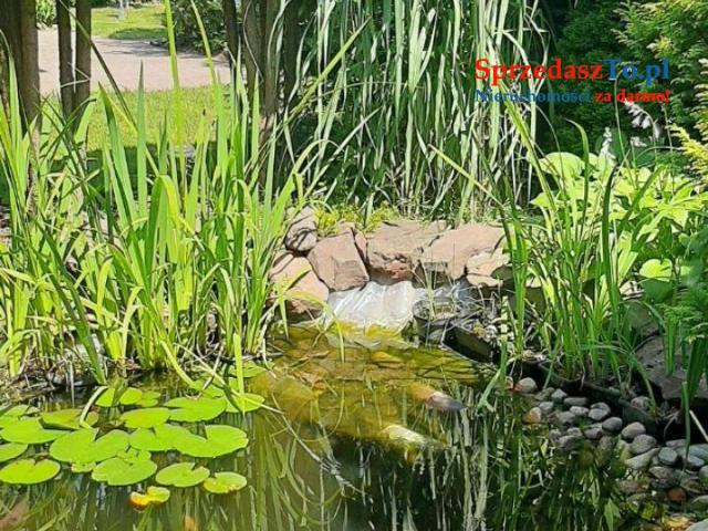 Sprzedaż działki ROD ŁÓDŹ - 9