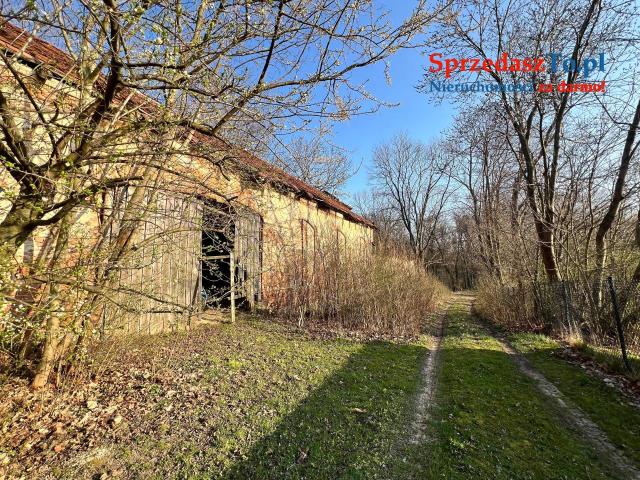 Działka siedliskowa na końcu wsi Wawrzeńczyce - 9