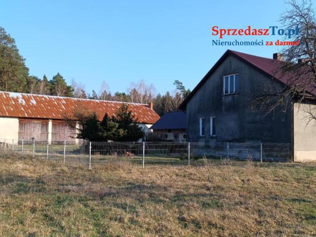 Sprzedam dom z budynkami gospodarczymi i działka - 8