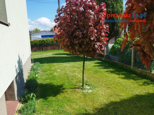 SPRZEDAM DOM W BYSTRZYCA OŁAWSKA - 16