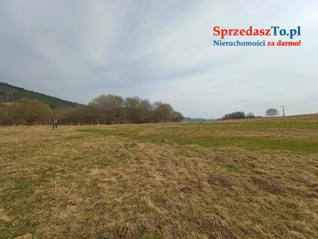 NOWA NIŻSZA CENA! DUŻA DZIAŁKA z WARUNKAMI ZABUDOWY na trasie w Bieszczady :) z opcją NA 2 RATY! - 9