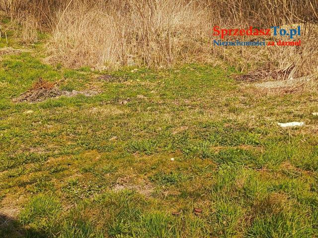 Dom z działką stan surowy otwarty - 12