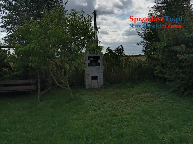 Ogród działkowy