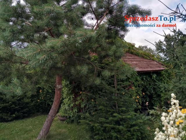 Ogród działkowy - 6