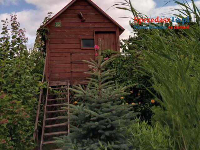 Ogród działkowy - 9