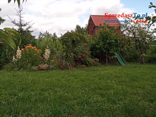 Ogród działkowy - 10