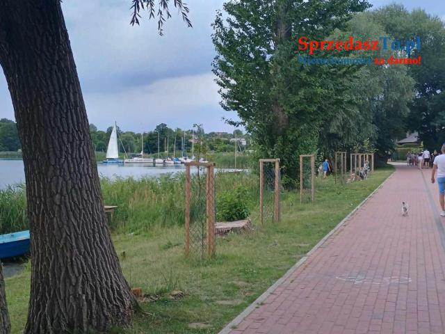 Wynajmę domek letniskowy 4 osobowy - 12