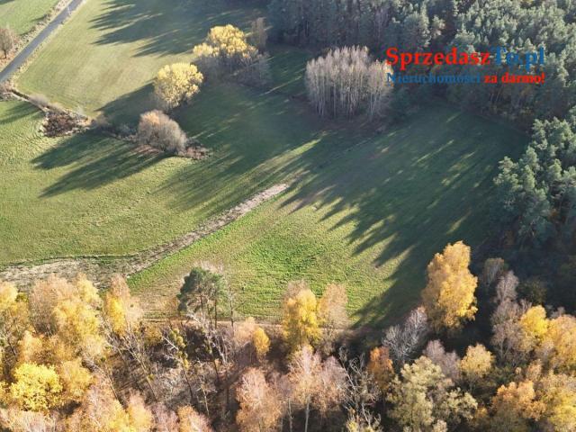 Działki budowlane przy lesie, 3km od jeziora 1,5h do Gdańska, 40min do Bydgoszczy