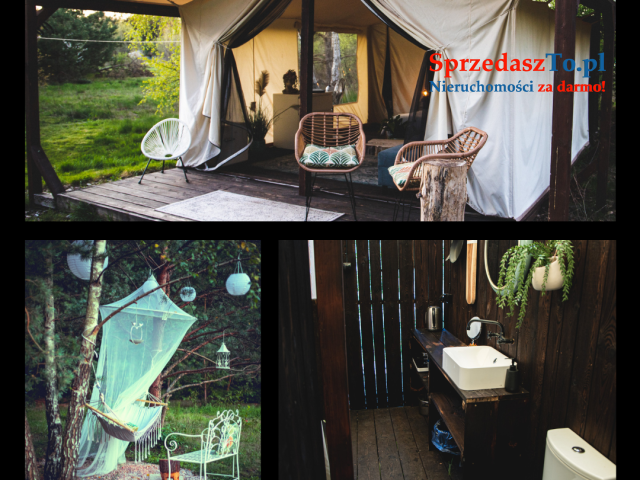 Działka z gotowym biznesem glampingowym - 70km od Warszawy - 9