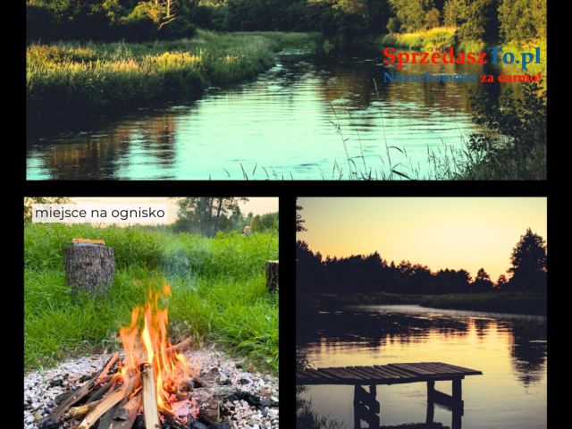 Działka z gotowym biznesem glampingowym - 70km od Warszawy - 10