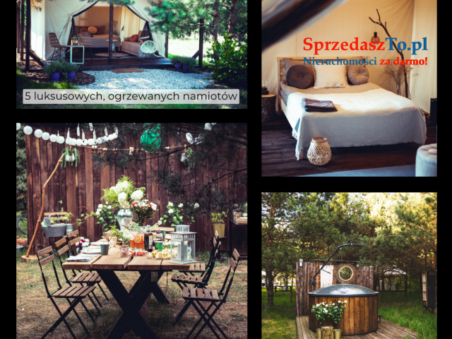 Działka z gotowym biznesem glampingowym - 70km od Warszawy - 11