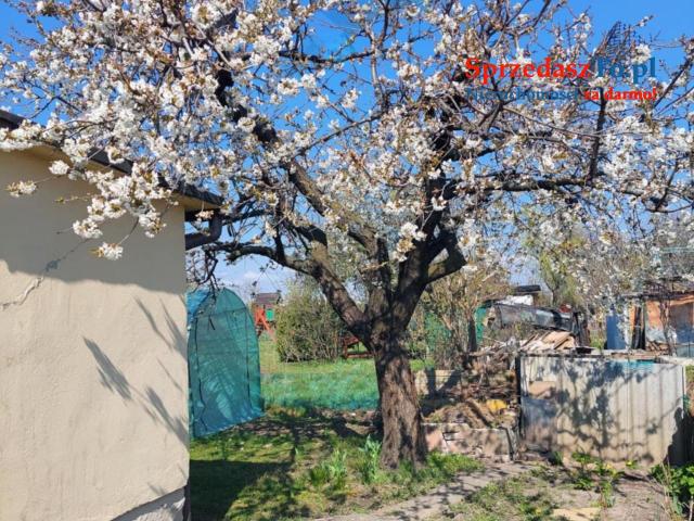 Sprzedam działkę rod Janikowo - 6