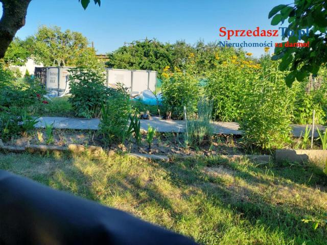 Sprzedam działkę rod Janikowo - 12