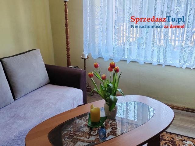 Całoroczny dom sprzedam Bory Tucholskie - 9