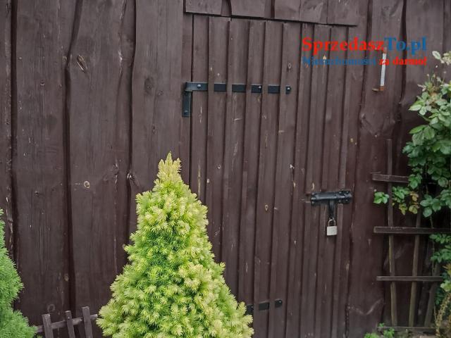 Całoroczny dom sprzedam Bory Tucholskie - 13