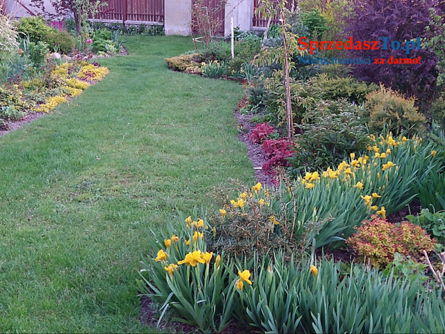 Dom parterowy Pysznica, ul. Sportowa - 16